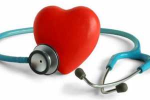 Imagen ilustrativa del artículo El Apio y sus beneficios para Prevenir Enfermedades Cardiovasculares